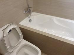 Oleander Towers (D12), Apartment #88735972